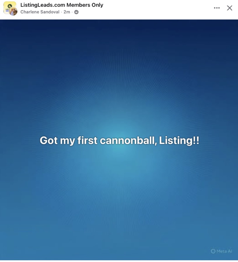 Listing Leads customer result 56 of 100